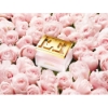 تصویر  عطر اسکادا مخصوص